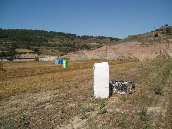P8110016