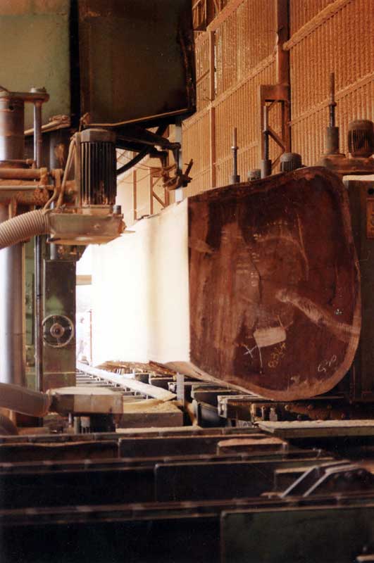 b3
