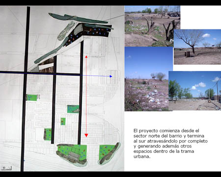 planta