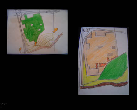 planta