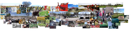 3-colección
